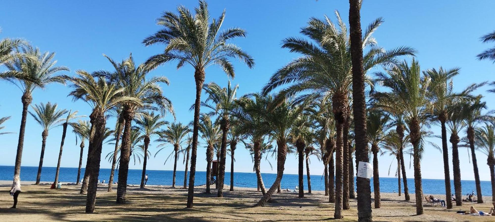 San Antonio - Beach, Pool And Terrace Torremolinos Exterior photo
