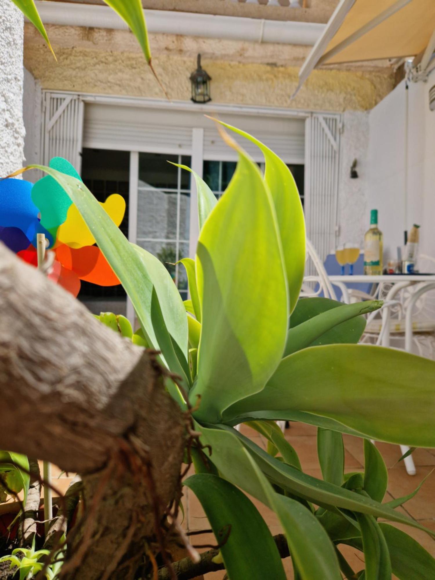 San Antonio - Beach, Pool And Terrace Torremolinos Exterior photo